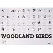 Theme - WOODLAND BIRDS<br/>50,00 €